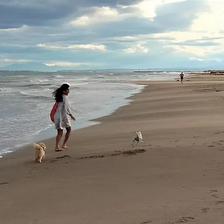 Yemanja Casa de Férias *